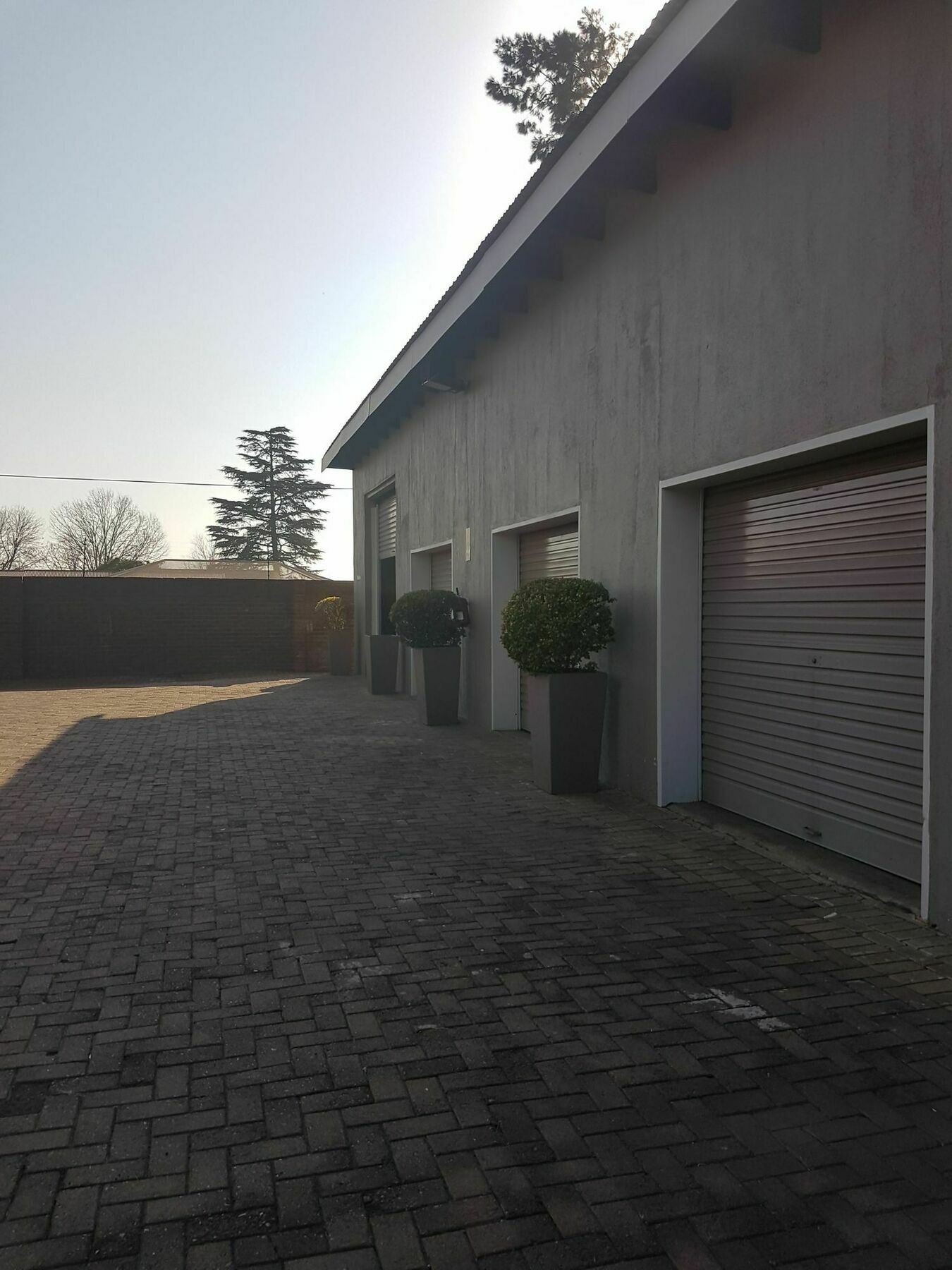 Blue Sparrow Guest House Middelburg  Bagian luar foto