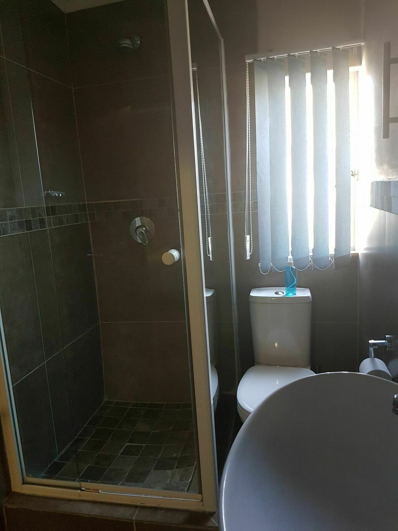 Blue Sparrow Guest House Middelburg  Bagian luar foto